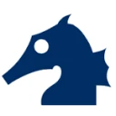 HM Recompression Services logo